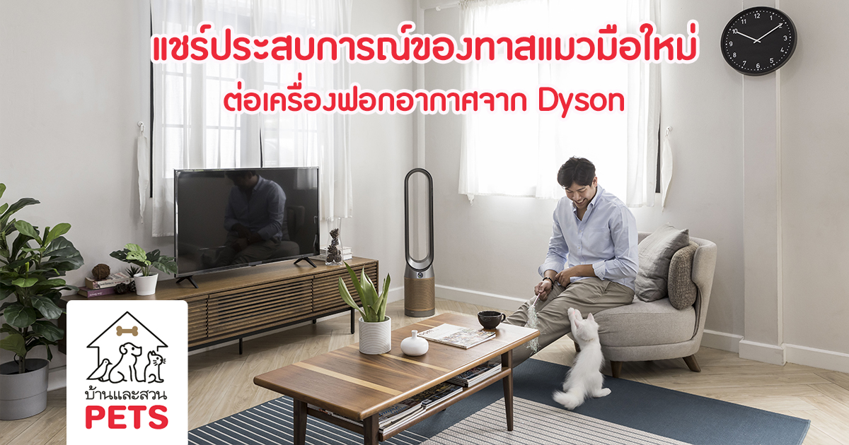 อยู่กับเจ้าขนฟูอย่างอุ่นใจ ไร้สารก่อภูมิแพ้ ด้วยเครื่องฟอกอากาศ Dyson Purifier Cool Formaldehyde TP09