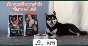 เลือก อาหารน้องหมา อย่างไร เพื่อสุขภาพไตที่ดี