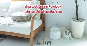 น้ำพุแมวอัจฉริยะจาก Petology ตอบโจทย์สำหรับทาสแมวที่อยากให้แมวกินน้ำเยอะๆ น้ำพุแมว Petology