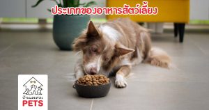 ข้อเท็จจริงของอาหารสัตว์เลี้ยงแต่ละประเภท