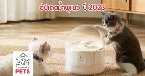 น้ำพุแมว 2023 สวยถูกใจทาส ใช้งานถูกใจแมว