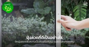 มุ้งลวด ที่ดีเป็นอย่างไร