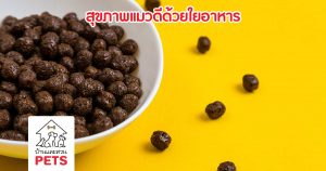 พลังแห่งใยอาหาร กับบทบาทในการจัดการโรคในแมว