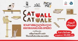 ประกวดออกแบบผนังแมวเหมียว “Cat wall Cat walk – กำแพงนี้ พี่ให้เหมียว” cat wall cat walk