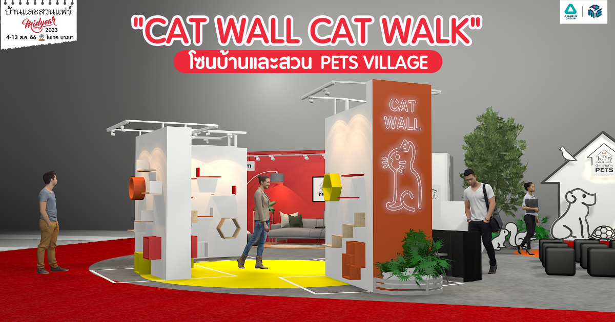 “CAT WALL CAT WALK” 7 ผนังนี้ ใครจะชนะ Cat wall cat walk
