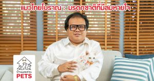 ฟาร์มแมวไทย ที่เกิดจากความรักของนักเพาะพันธุ์รุ่นใหม่