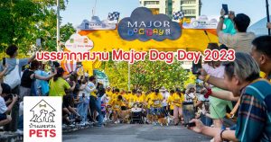 บรรยากาศงาน Major Dog Day 2023