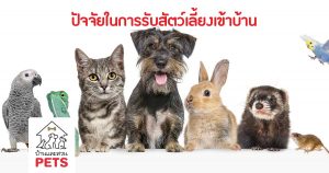 ปัจจัยในการเลี้ยงสัตว์ มีอะไรบ้าง